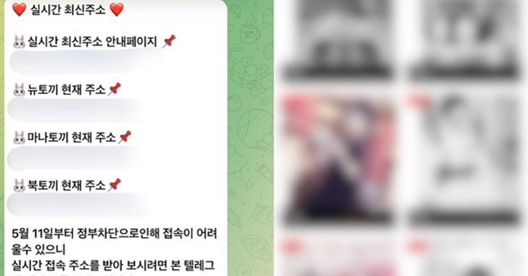 차단해도 되살아난 ‘뉴토끼’…피해 작가들, ‘일본 귀화’ 운영자에 직접 소송 | 중앙일보