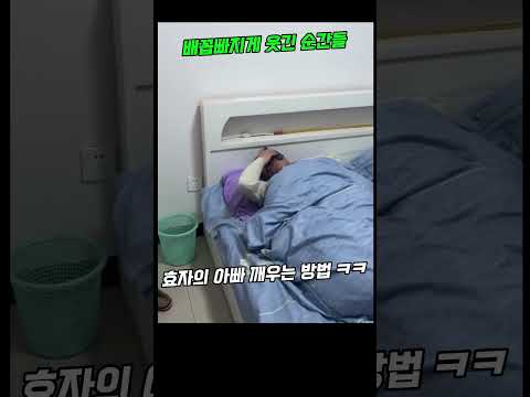 웃긴영상 레전드 배꼽빠지는 순간들